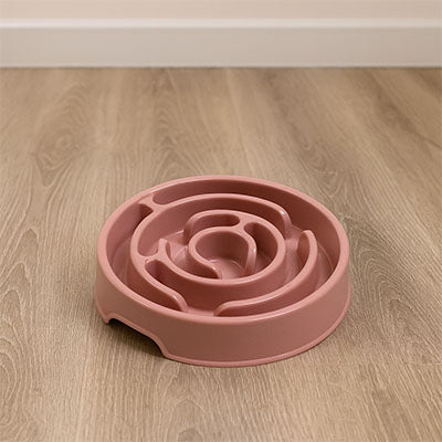 Gamelle Anti Glouton | Solution Repas Sereins