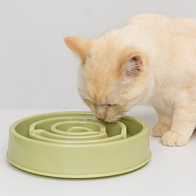 Gamelle Anti Glouton | Solution Repas Sereins