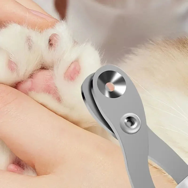 Coupe griffe chat | PawCare