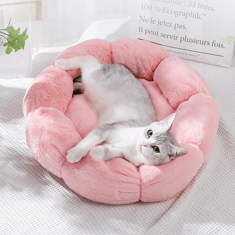Coussin Confort pour Chat | DreamPaws