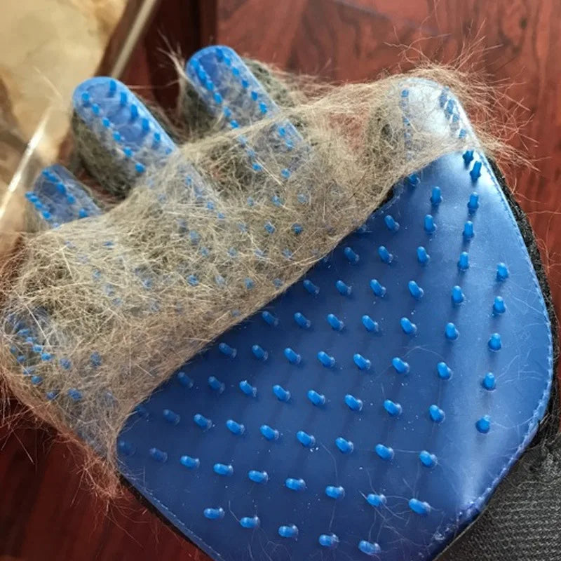 Brosse Chat | Anti-Poils