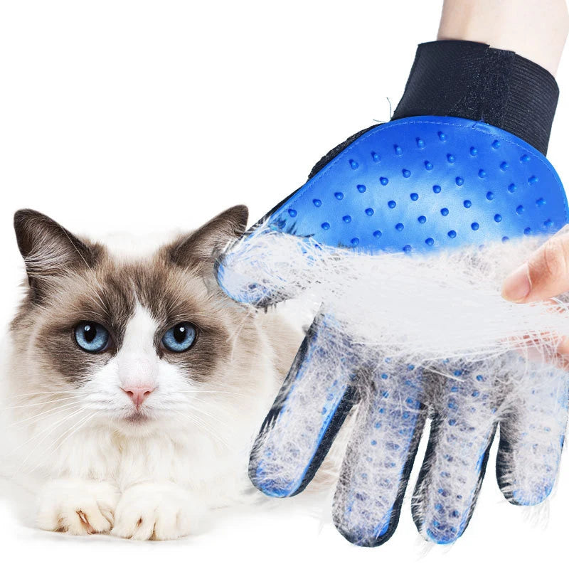 Brosse Chat | Anti-Poils