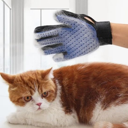 Brosse Chat | Anti-Poils