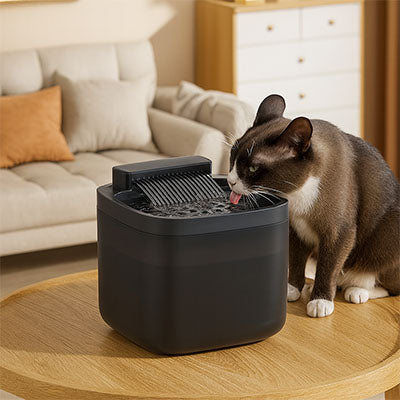 Fontaine à Eau Chat | VitalFlow
