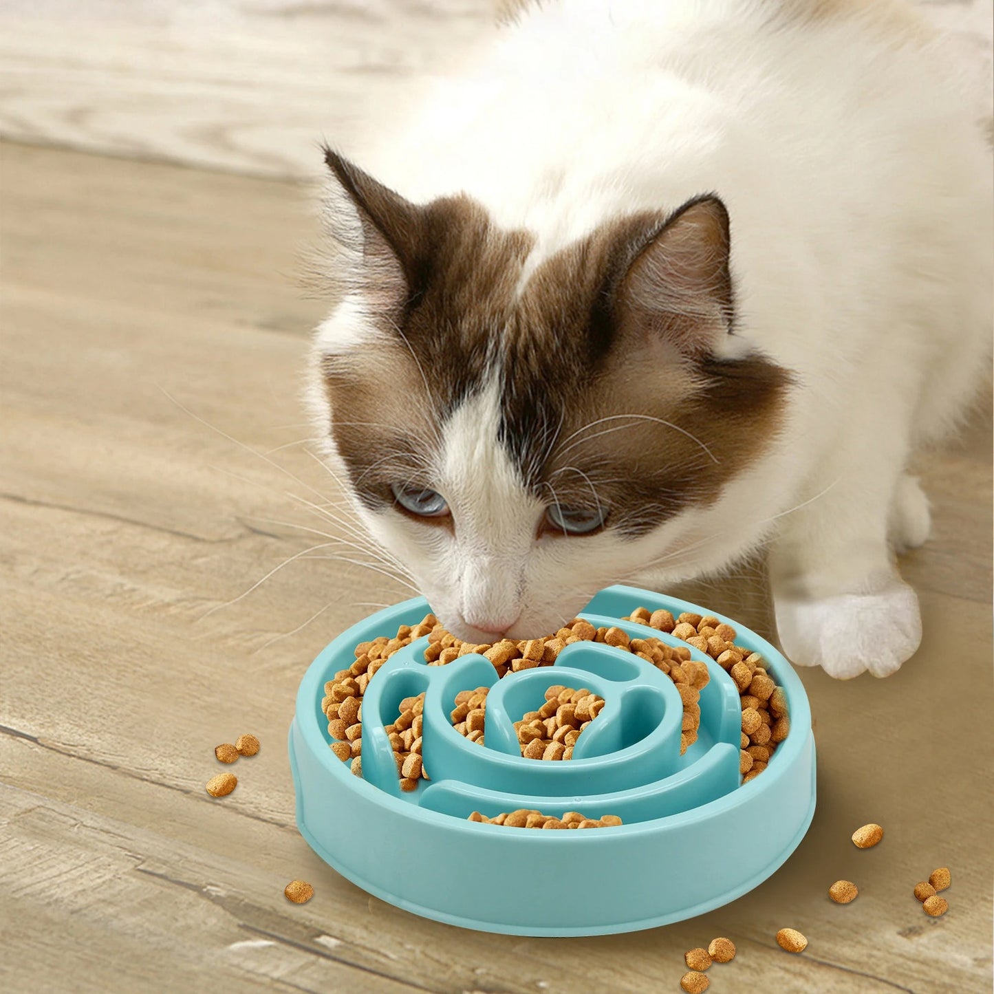 Gamelle Anti Glouton | Solution Repas Sereins
