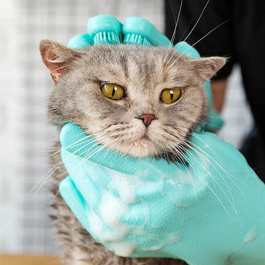 Gant de toilettage pour chat | DouceurPro