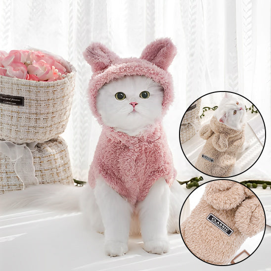 Pull pour chat | Cozy Winter