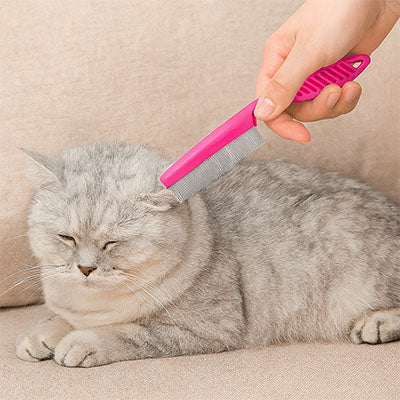 Peigne 3-en-1 pour Chat | PurrCare