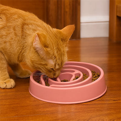 Gamelle Anti Glouton | Solution Repas Sereins