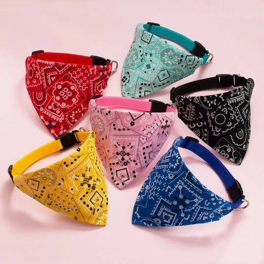 Collier Élégant pour chat™