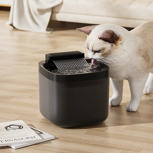Fontaine à Eau Chat | VitalFlow